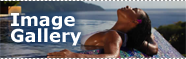 Image Gallery